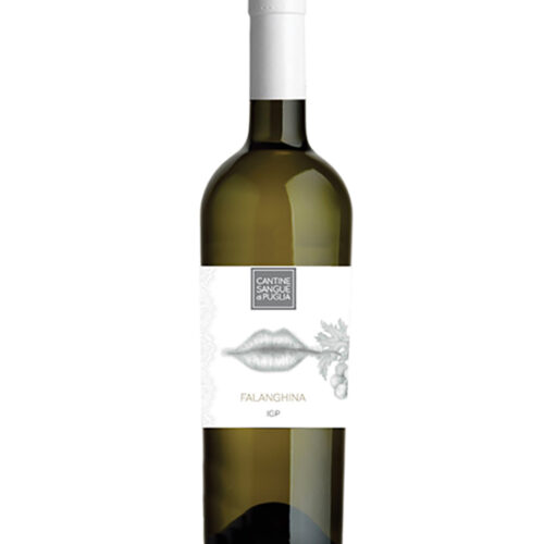 Vino Bianco (Cartone 6 PZ)