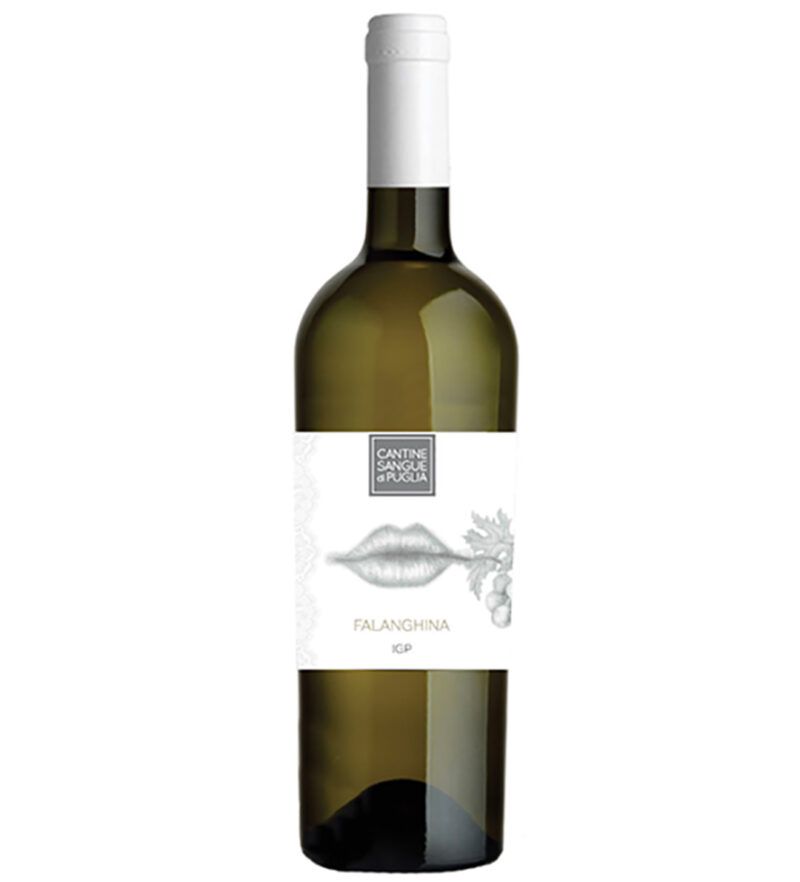 Vino Bianco (Cartone 6 PZ)
