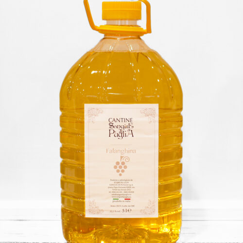 Vino PET - Falanghina 5 L