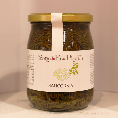 Salicornia in acqua